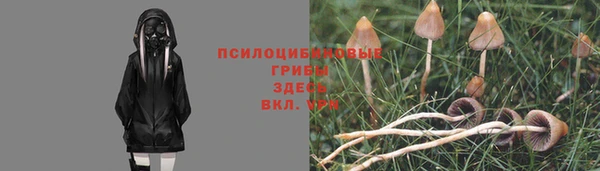 не бодяженный Горнозаводск