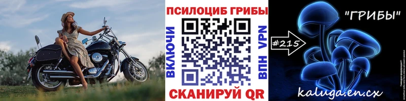 Псилоцибиновые грибы ЛСД Купить закладки Сунжа